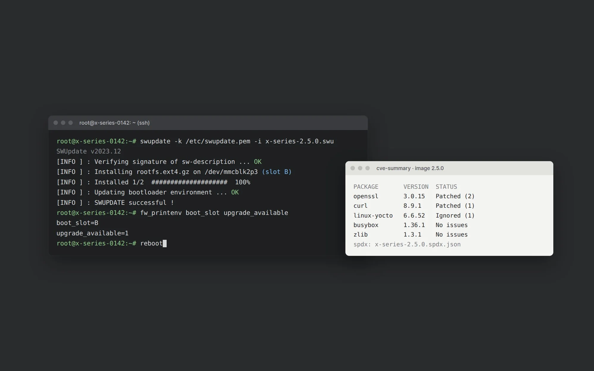 Terminal met een ondertekende software-update naast de CVE-samenvatting van het image